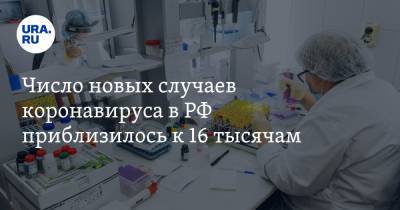 Число новых случаев коронавируса в РФ приблизилось к 16 тысячам - ura.news - Россия - Санкт-Петербург - Москва