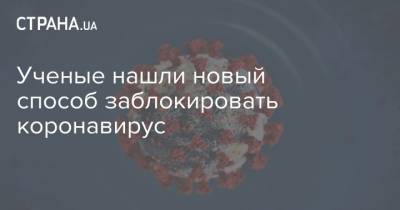 Ученые нашли новый способ заблокировать коронавирус - strana.ua