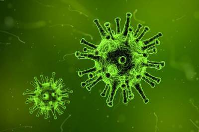 В Совбезе России заявили об угрозе эпидемий искусственных вирусов - pnp.ru - Россия