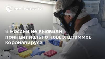В России не выявили принципиально новых штаммов коронавируса - ria.ru - Россия - Москва