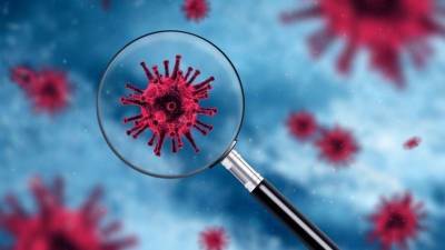 В регионах РФ выявляют уровень «коллективного иммунитета» к коронавирусу - 5-tv.ru - Россия - Ленобласть обл.