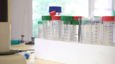 За последние сутки в Ленобласти выявили 77 новых случаев заболевания коронавирусом - piter.tv - Ленобласть обл.