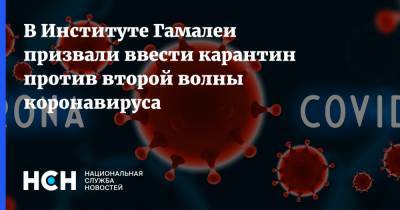 Виктор Зуев - В Институте Гамалеи призвали ввести карантин против второй волны коронавируса - nsn.fm - Россия
