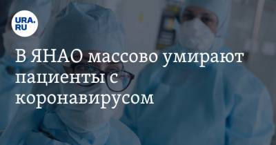 В ЯНАО массово умирают пациенты с коронавирусом - ura.news - округ Янао - Ноябрьск - Салехард