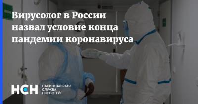 Виталий Зверев - Вирусолог в России назвал условие конца пандемии коронавируса - nsn.fm - Россия