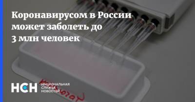 Александр Лукашев - Коронавирусом в России может заболеть до 3 млн человек - nsn.fm - Россия
