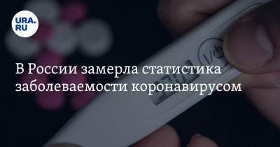 В России замерла статистика заболеваемости коронавирусом - ura.news - Россия