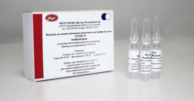 Анна Попова - В "Векторе" началось производство вакцины от COVID-19 - ren.tv - Россия