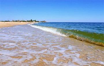 Специалисты впервые обнаружили коронавирус в водах на пляжах - charter97.org - штат Миннесота