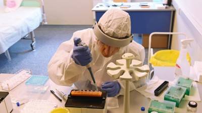 Более 48 млн тестов на коронавирус проведено в России - russian.rt.com - Россия