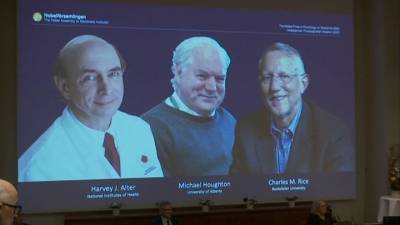 Чарльз Райс - Нобелевскую премию по медицине вручили за открытие вируса гепатита С - vesti.ru - Сша - Англия - Стокгольм