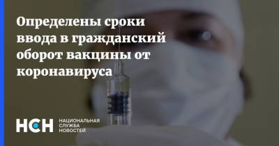 Михаил Мурашко - Определены сроки ввода в гражданский оборот вакцины от коронавируса - nsn.fm - Россия - Москва