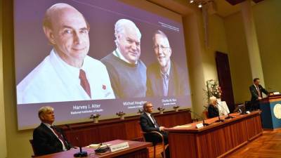 Первооткрыватели вируса гепатита С получили Нобелевскую премию по медицине - 5-tv.ru - Англия - Швеция - Стокгольм