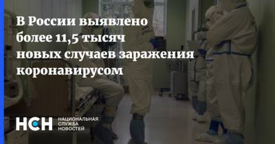 В России выявлено более 11,5 тысяч новых случаев заражения коронавирусом - nsn.fm - Россия