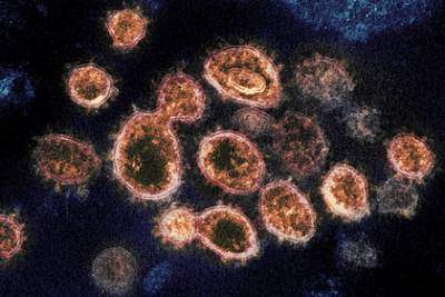 Названы новые способы предотвратить заражение коронавирусом - lenta.ru - Сша