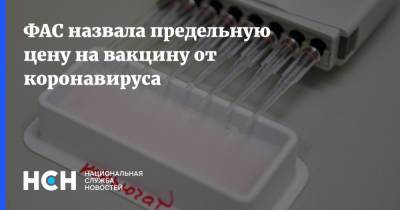 Игорь Артемьев - ФАС назвала предельную цену на вакцину от коронавируса - nsn.fm - Россия