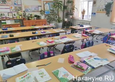 Екатеринбургская гимназия №2 срочно закрывается на карантин. Но не из-за коронавируса - nakanune.ru - Екатеринбург