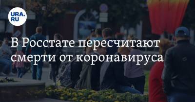 Павел Малков - В Росстате пересчитают смерти от коронавируса - ura.news - Россия