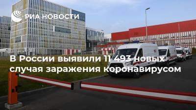 В России выявили 11 493 новых случая заражения коронавирусом - ria.ru - Россия - Москва