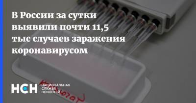В России за сутки выявили почти 11,5 тыс случаев заражения коронавирусом - nsn.fm - Россия - Москва