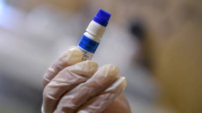 В России за сутки проведено 512 тысяч тестов на коронавирус - russian.rt.com - Россия