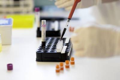 Максим Степанов - В Украине за сутки коронавирусом заразились почти 11 000 человек: статистика на 10 ноября - newsone.ua - Украина