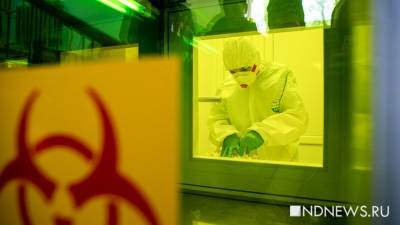 Дэвид Кеннеди - Исследователи взялись за изучение устойчивости коронавируса к вакцинам - newdaynews.ru