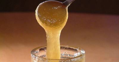 Ученые заявили об эффективности меда и тмина в лечении коронавируса - ren.tv