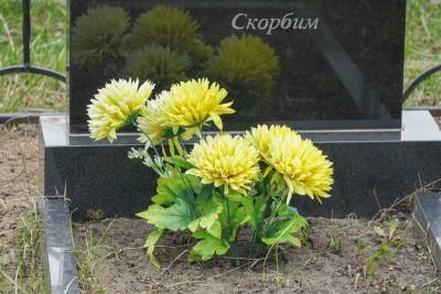 Еще 12 человек скончались от коронавируса в Воронежской области - gorcom36.ru - Воронежская обл.