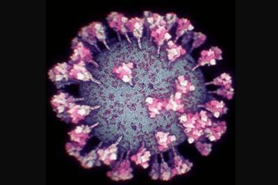 Ученые создали точную 3D-модель коронавируса, которая может помочь в создании вакцины: видео и фото - newsone.ua - Украина - Саудовская Аравия