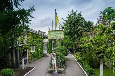 Запорожский ботанический сад из-за карантина ограничил посещения - inform.zp.ua - Запорожье - Мелитополь