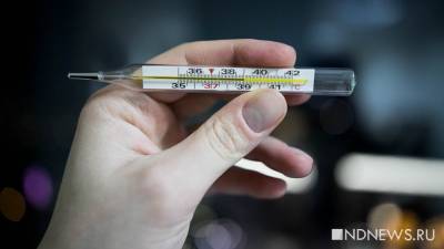 Вячеслав Володин - «Пик был на прошлой неделе»: 38 депутатов Госдумы лечатся от коронавируса - newdaynews.ru