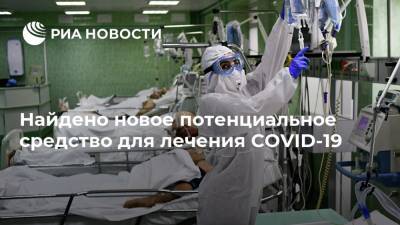 Найдено новое потенциальное средство для лечения COVID-19 - ria.ru - Москва - Сша