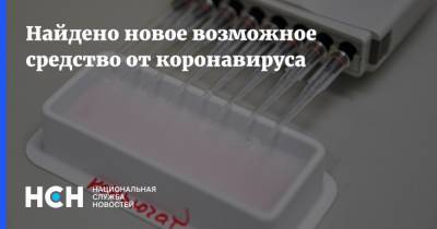 Найдено новое возможное средство от коронавируса - nsn.fm