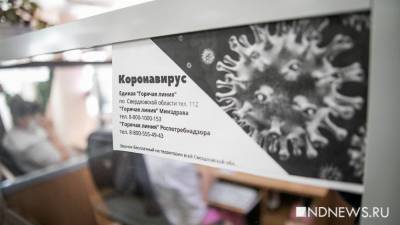 Павел Креков - Власти пообещали увеличить число работников кол-центров по коронавирусу в поликлиниках - newdaynews.ru - Свердловская обл.