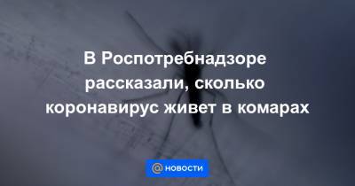 В Роспотребнадзоре рассказали, сколько коронавирус живет в комарах - news.mail.ru - Китай