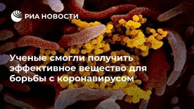 Ученые смогли получить эффективное вещество для борьбы с коронавирусом - ria.ru - Москва - Сша
