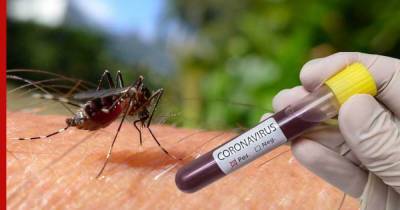 Людмила Карань - Стало известно, как долго коронавирус живет в комарах - profile.ru - Китай