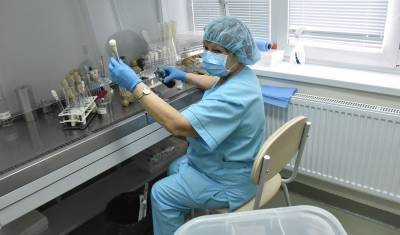 В «Векторе» изобрели средство от коронавируса на основе березового гриба - newizv.ru - Россия