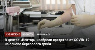 В центре «Вектор» изобрели средство от COVID-19 на основе березового гриба - kubnews.ru - Россия