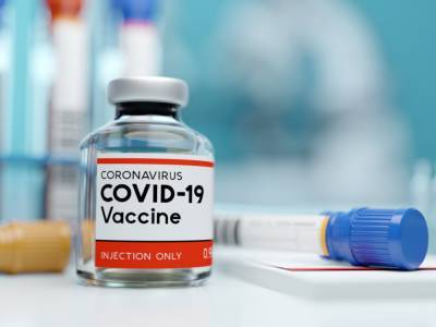 Л. Мухарская: «О российской вакцине от COVID-19 есть как положительные, так и отрицательные отзывы» - golos.ua - Украина