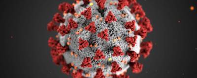 Ученые нашли быстрый способ очистки поверхности от коронавируса - runews24.ru - Лос-Анджелес