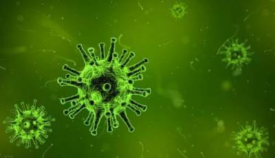 Уильям Шаффнер - В США заразились коронавирусом миллион человек за 10 дней - argumenti.ru - Сша
