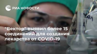"Вектор" выявил более 15 соединений для создания лекарства от COVID-19 - ria.ru - Россия - Москва
