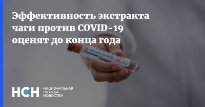 Эффективность экстракта чаги против COVID-19 оценят до конца года - nsn.fm - Россия