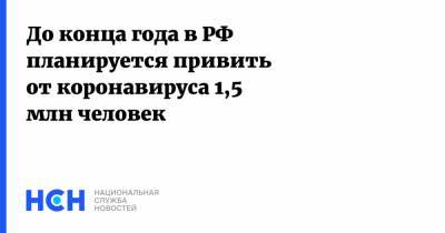 Александр Гинцбург - До конца года в РФ планируется привить от коронавируса 1,5 млн человек - nsn.fm - Россия