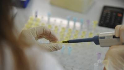 В России за сутки проведена 591 тысяча тестов на коронавирус - russian.rt.com - Россия