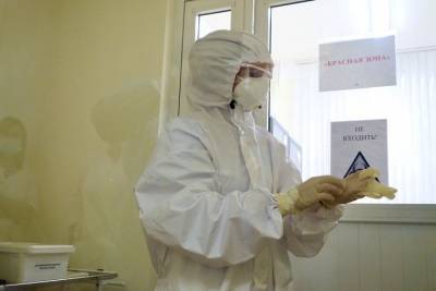 Семь новосибирцев умерли от коронавируса за сутки - tayga.info - Новосибирская обл.