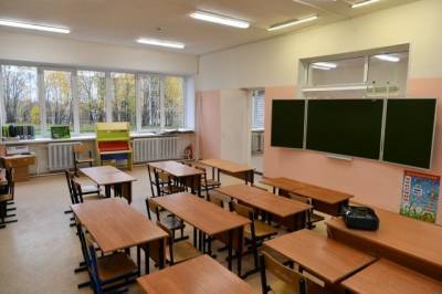 Элла Памфилова - В России 28 школ закрыли на карантин из-за COVID-19 - aif.ru - Россия