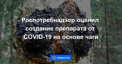 Роспотребнадзор оценил создание препарата от COVID-19 на основе чаги - news.mail.ru - Россия - Новосибирск